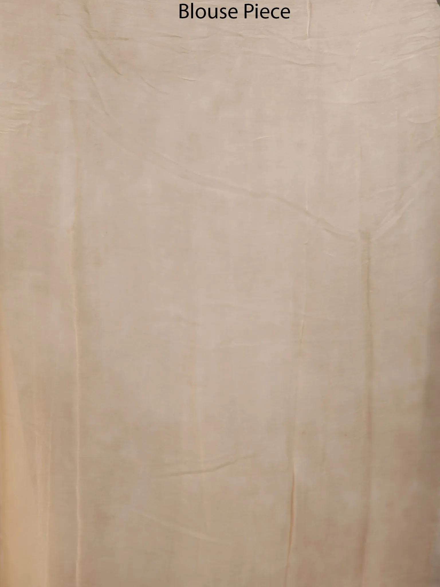 Black Beige Rust Hand Block Printed Chiffon Saree with Zari Border - S031703498
