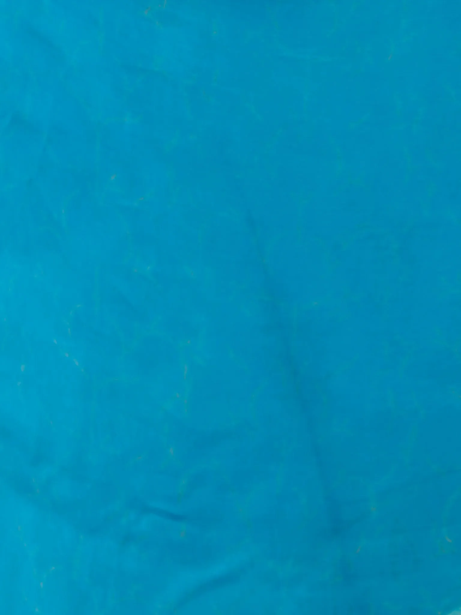 Blue Green Hand Block Printed Chiffon Saree with Zari Border - S031702757