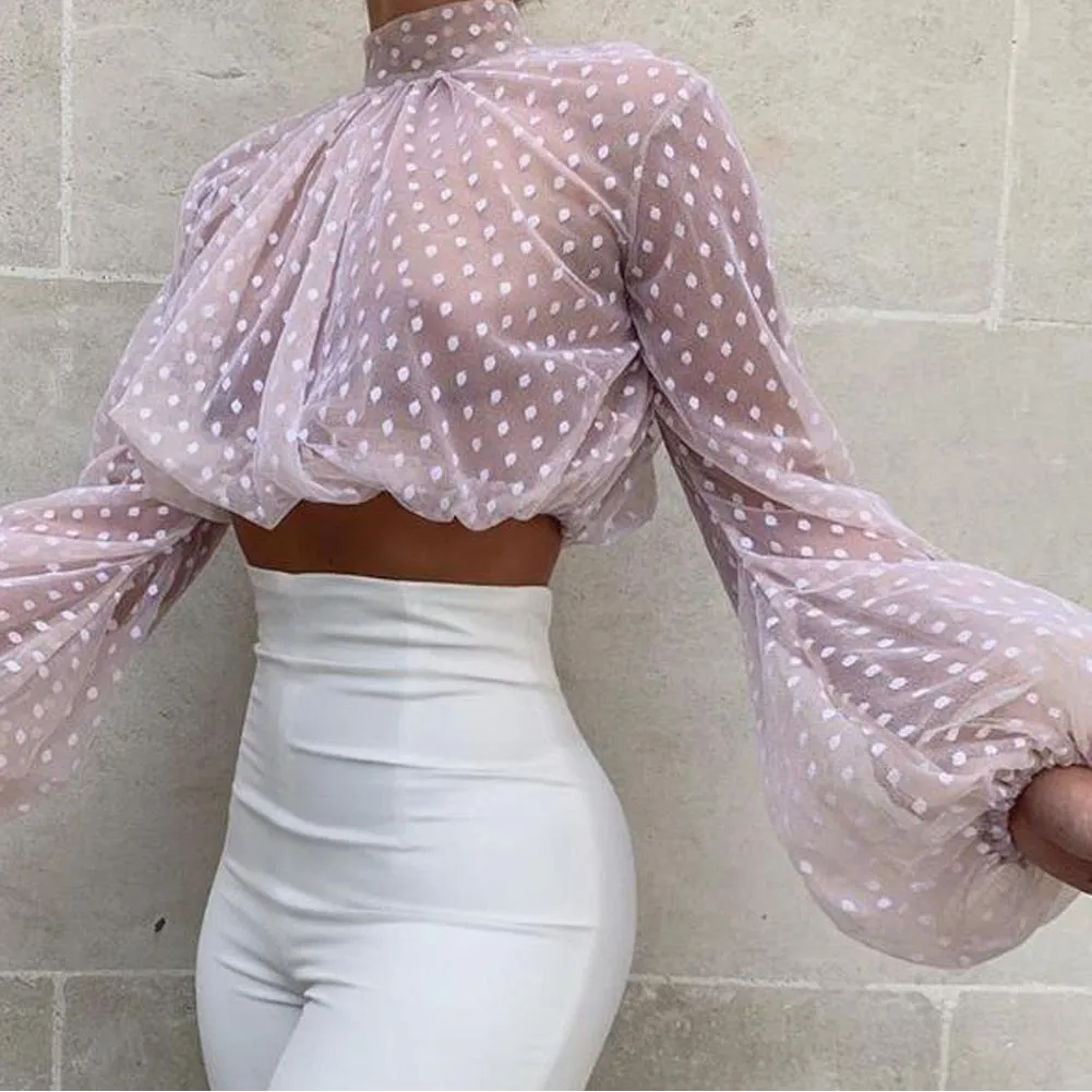 Chiffon Long Sleeve O-neck Blouse