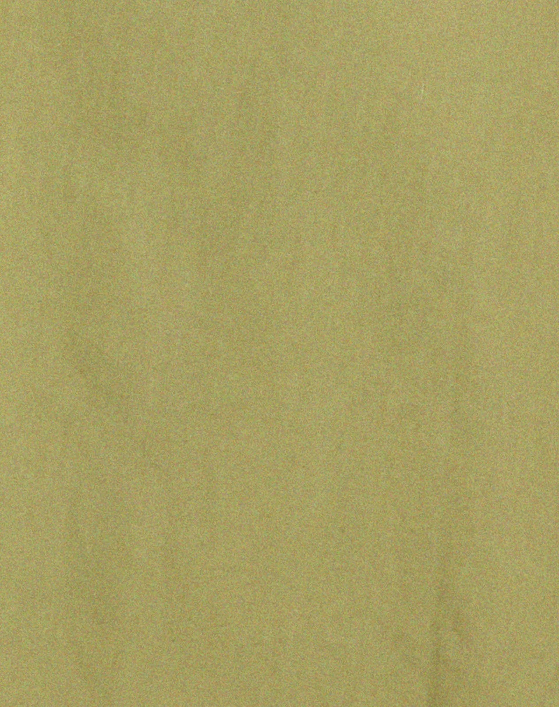 Gane Shirt in Seafoam Green
