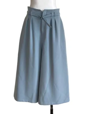 Teal Blue Plain Top